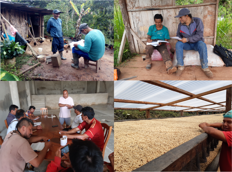 Cooperativa Agraria Coyentimari
