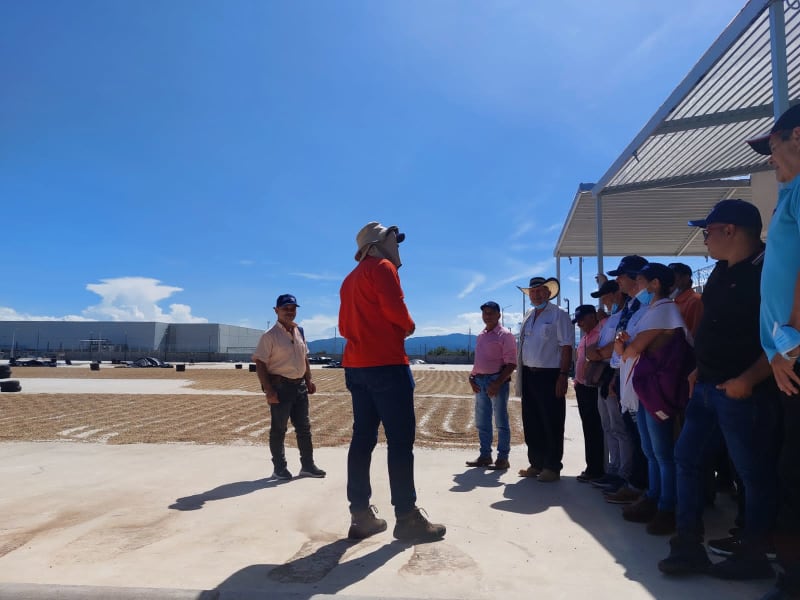 Cooperativa Deptal. de Caficultores del Huila Ltda.