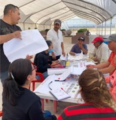 JV Agro S de RL de CV