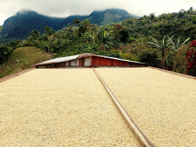 Cooperativa de Caficultores del Alto Occidente de Caldas