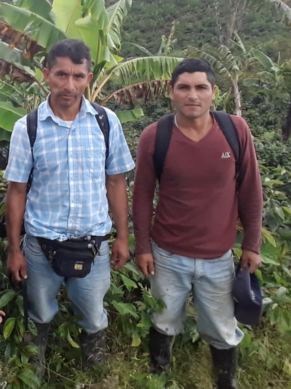 Asociación de Productores Cafetaleros Andinos Sierra Verde