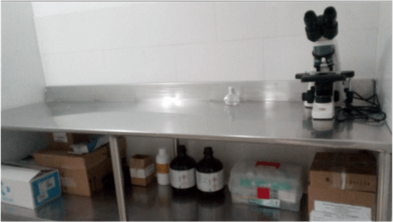 Asociación de Productores de la Sierra Nevada de Santa Marta Tayronaca