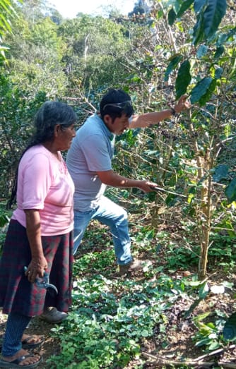 Asociación de Productores Finkafe