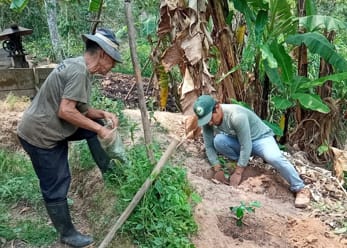 Asociación de Productores Finkafe