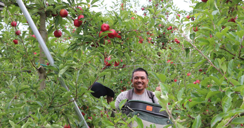 Bostock Organics