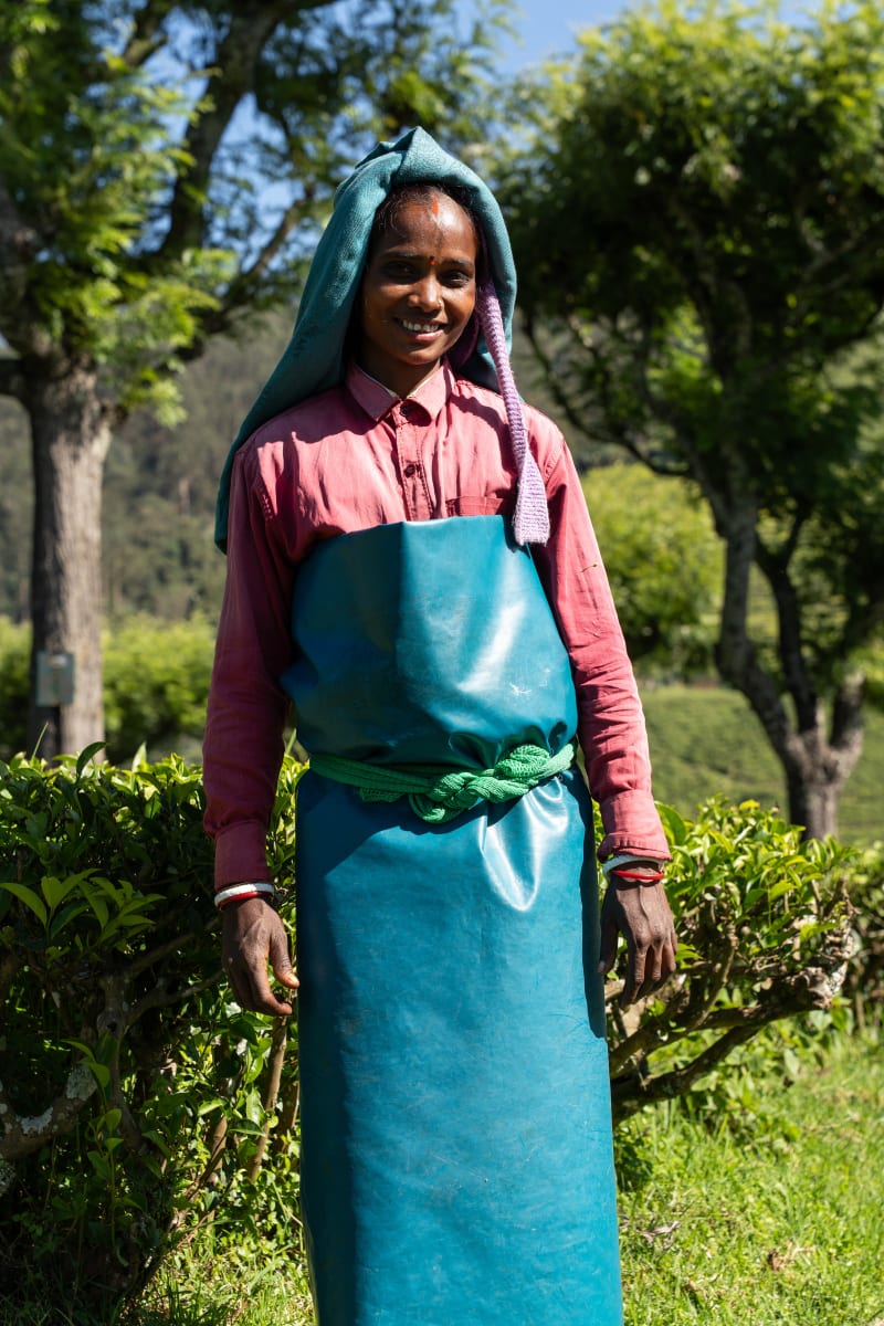 The United Nilgiri Tea Estates Company LTD