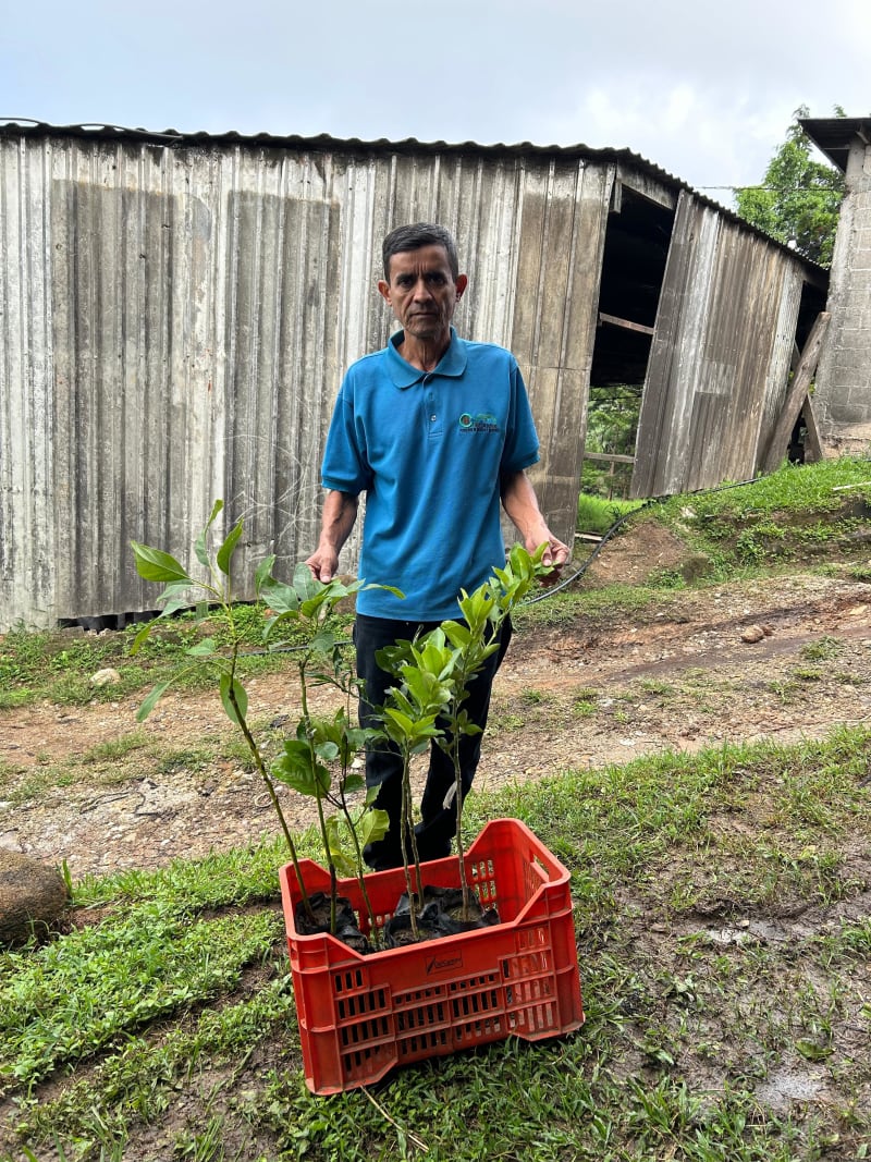 Cooperativa Cafetalera Mercedes Ocotepeque Limitada COCAMOL