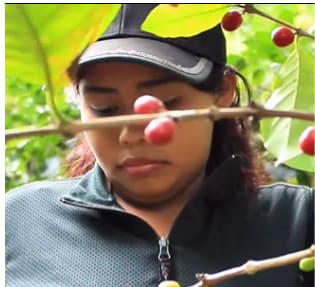 Union de Cooperativas Agropecuarias y Servicios SOPPEXCCA RL