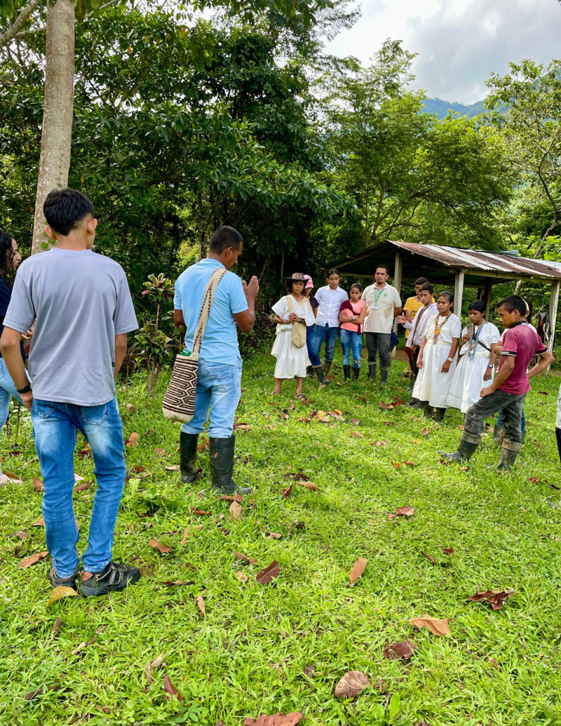 Asociación de Productores de la Sierra Nevada de Santa Marta Tayronaca