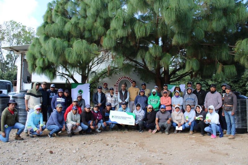 Grupo Aguacatero los Cerritos S de RL de CV