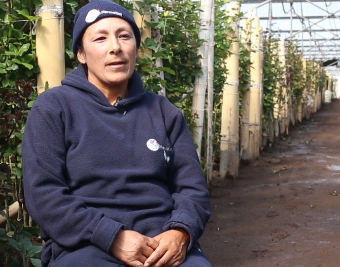Floranation Productores de Flores SA