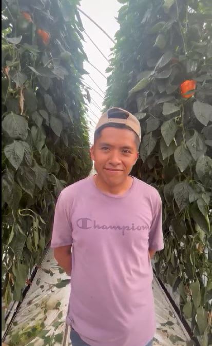 Comercializadora Agreste Norte SA de CV