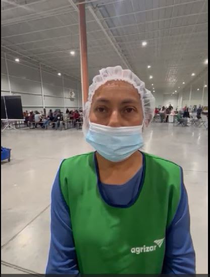 Comercializadora Agreste Norte SA de CV