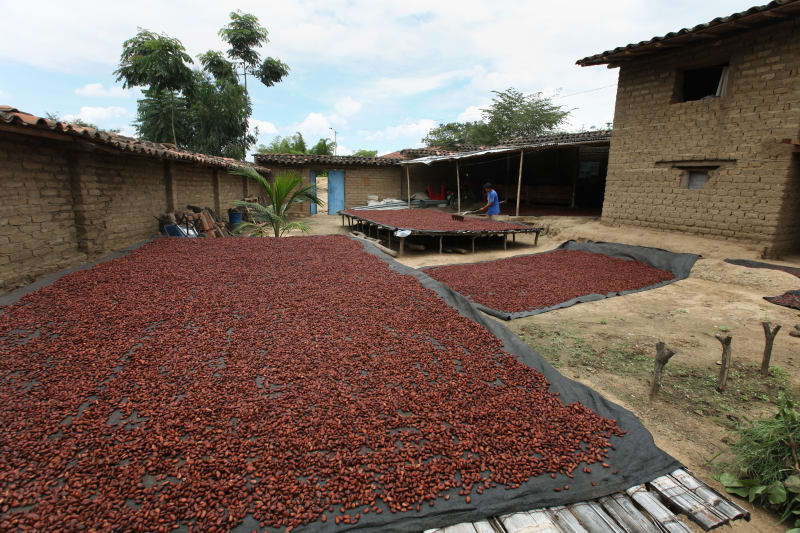 Cooperativa Agraria Aprocassi