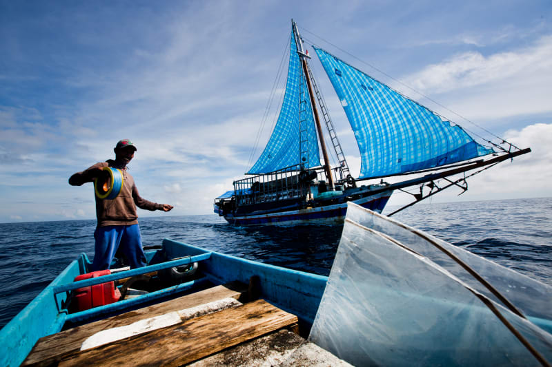 Indonesian Pole and line & Handline Fishery Association (AP2HI) - Bitung