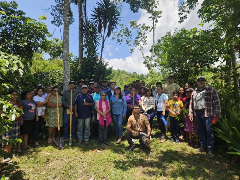 Asociación de Productores COMSA, APROCOMSA