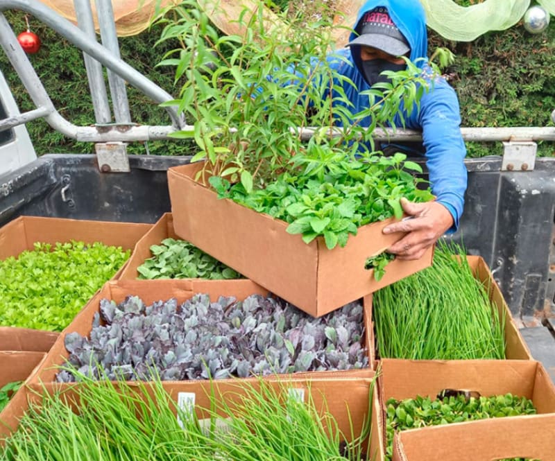 Agroganadera Espinosa Chiriboga SA