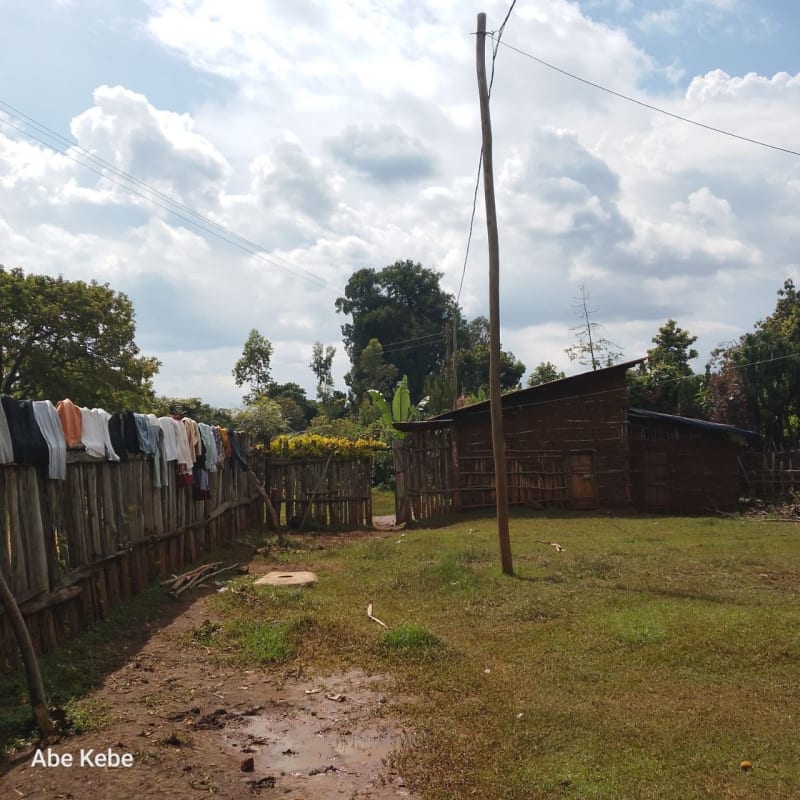 Sidama Coffee Farmers Cooperative Union